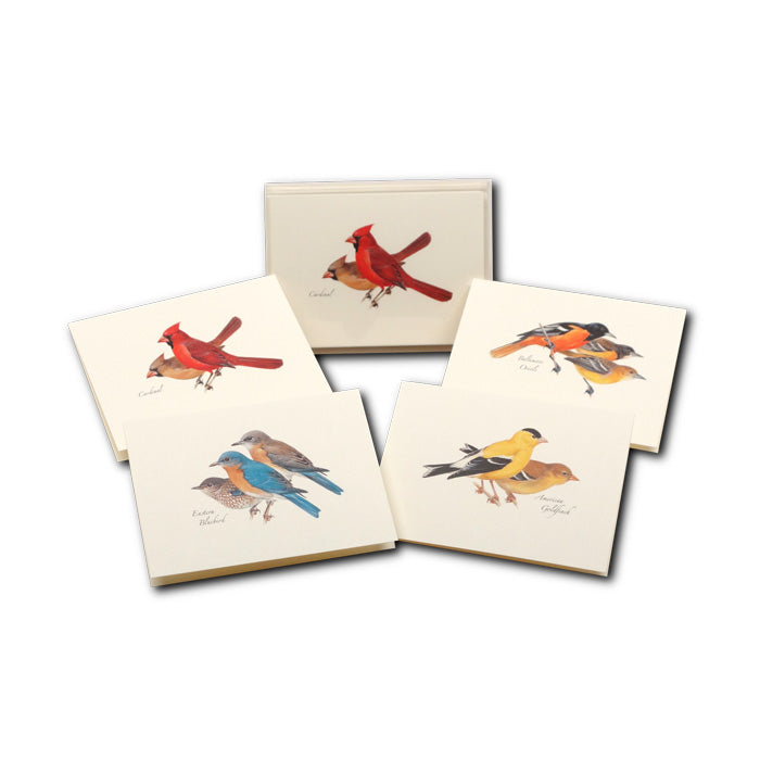 Peterson Bird Notecard Set - 24 Assorted Handcrafted Greeting Cards with Envelopes for Thank You Notes, Wedding Invitations & Special Occasions