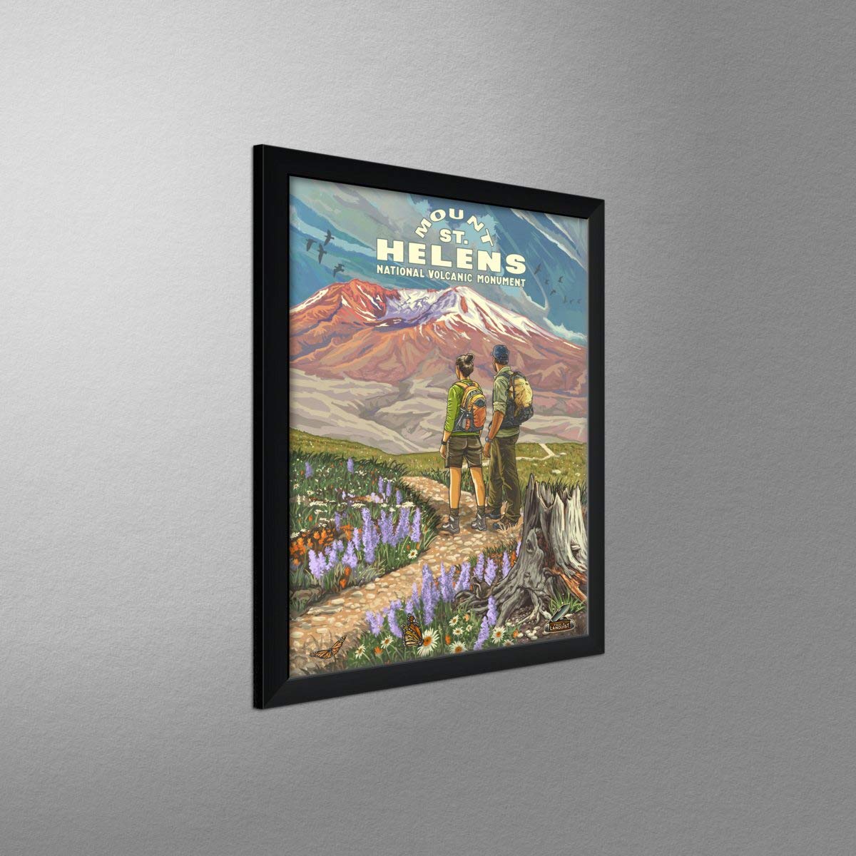 Professionally Framed 20