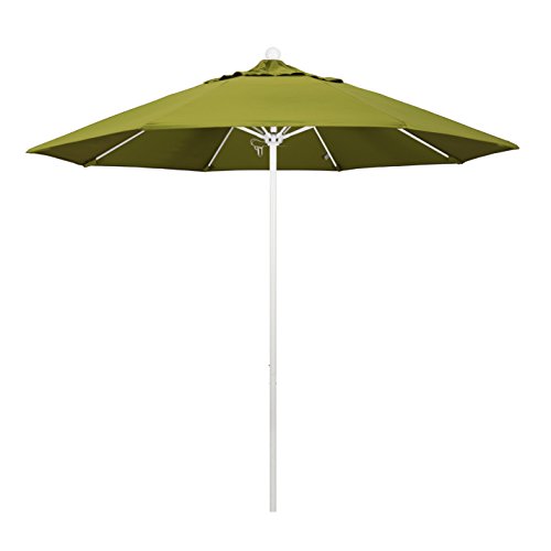 Ginko