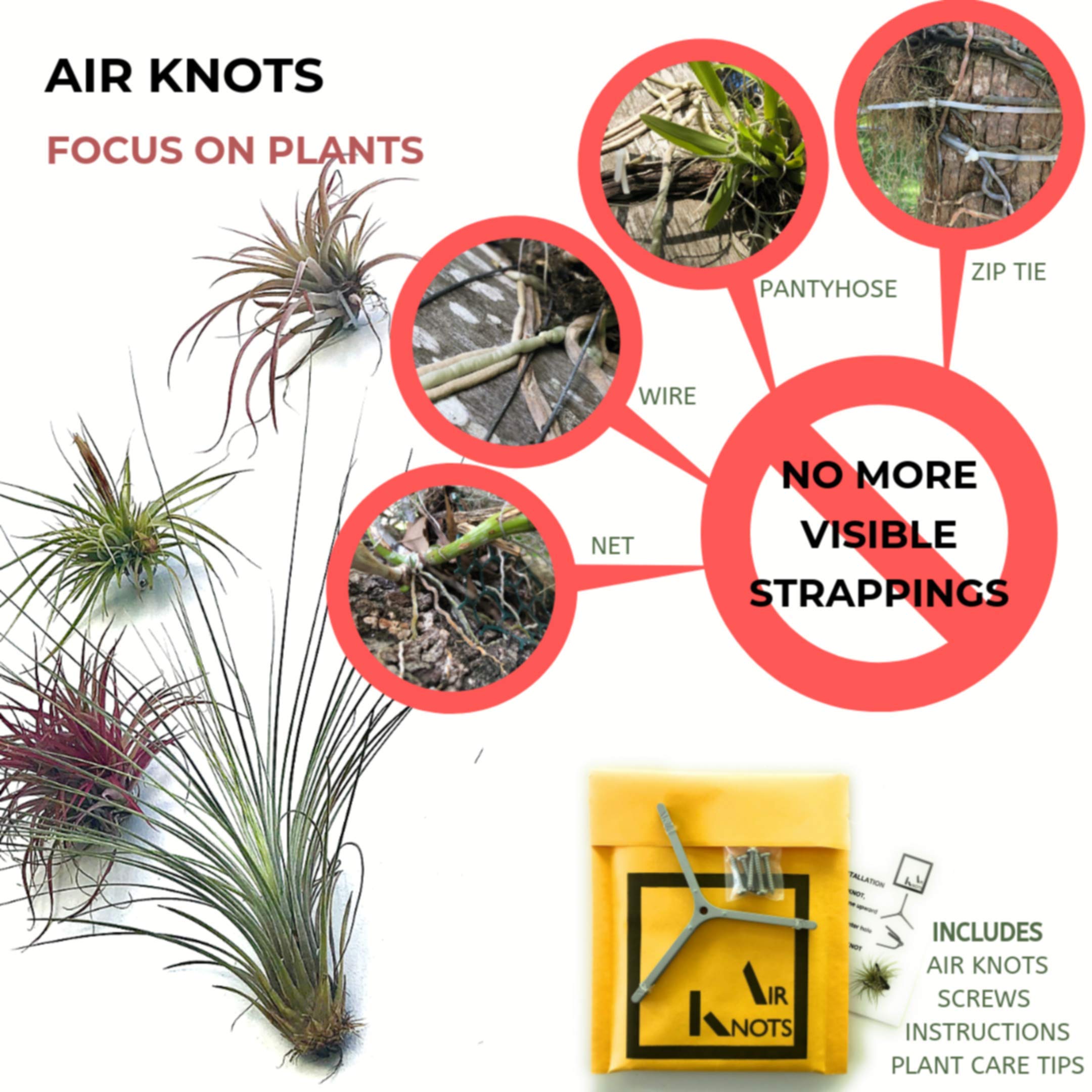 ArtAK Wall Planter Set of 5 - Modern Air Plant Holder & Orchid Mount with Rustic Plant Hooks | Perfect for Indoor Vertical Gardens, Home Decor, and Office Spaces