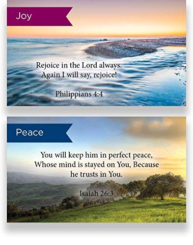 Pass Along Scripture Card Variety Pack - 12 Hand-Picked Designs, 5 of Each (60 Cards Total) - Assortment 8 | Inspirational Bible Verse Cards for Church, Bible Study & Christian Encouragement Gifts
