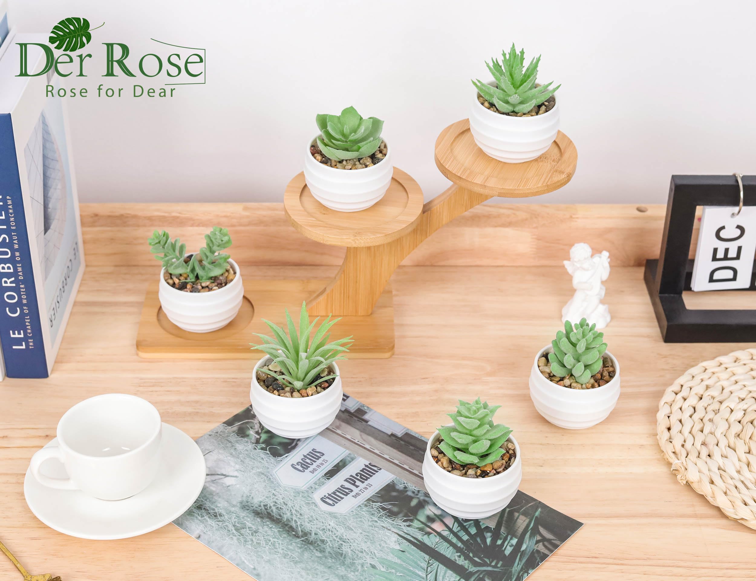 6 Pack Fake Succulents Plants - Realistic Artificial Small Succulents for Home & Room Decor - Perfect for Indoor Spaces, Office Desks, and Wedding Centerpieces