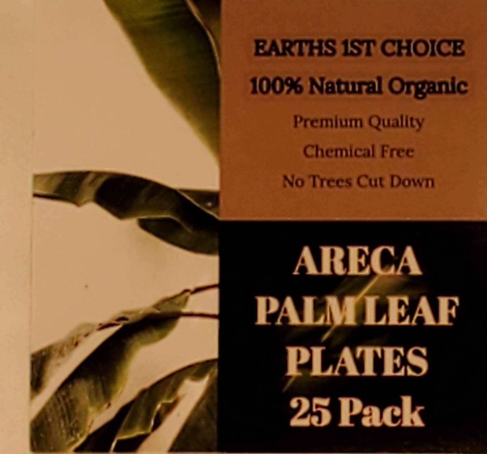 Eco-Friendly 8