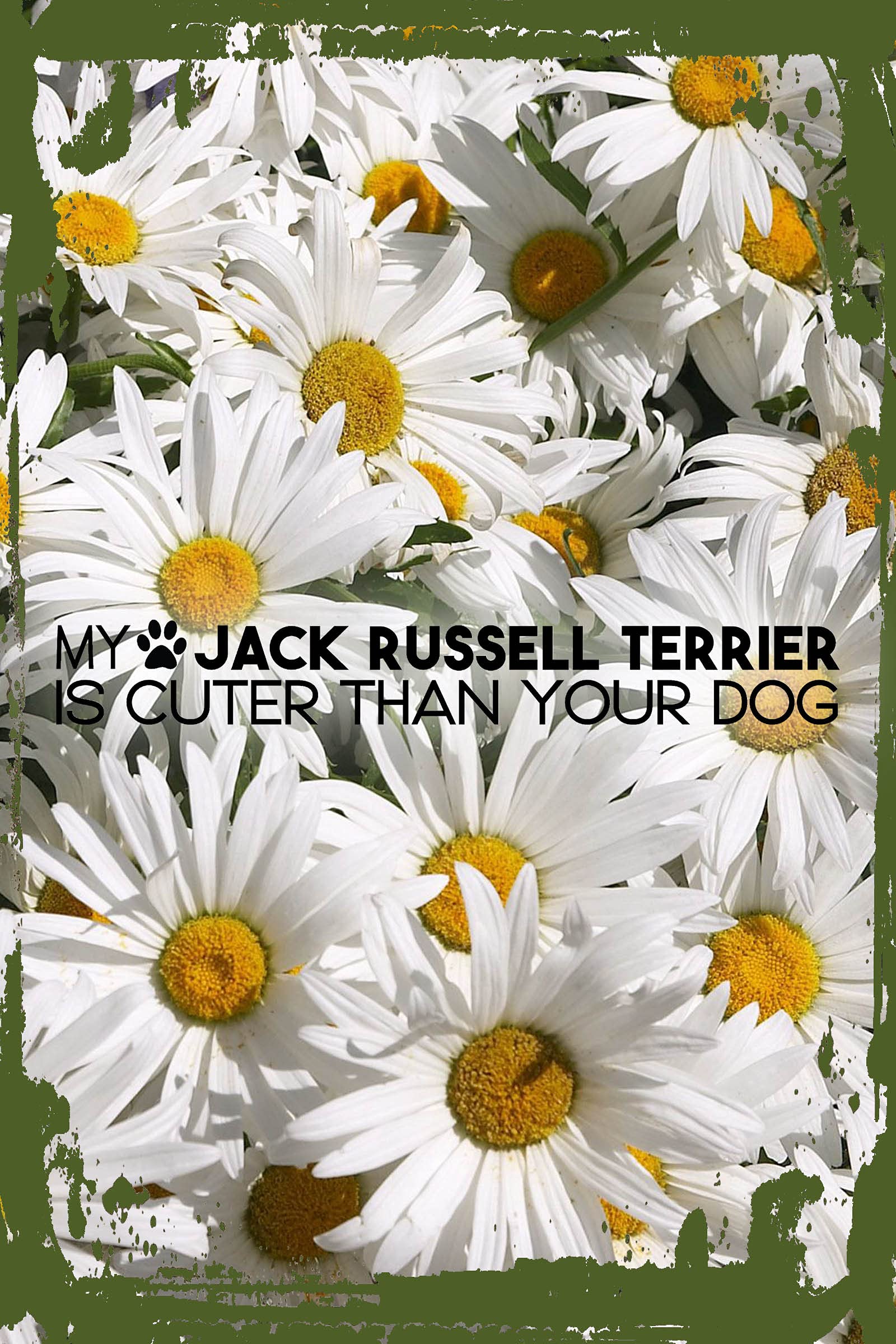 Funny Dog Lover Gift - Daisy Flower & Paw Print Wall Art Decor 8x12 Inches - 'My Jack Russell Terrier is Cuter Than Your Dog' Humorous Hanging Sign for Pet Lovers, Living Room, Bedroom or Office