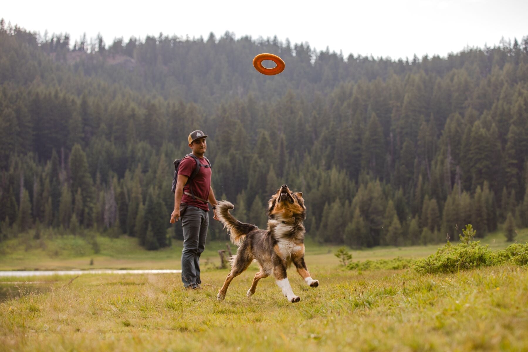 Ruffwear Hydro Plane™ Floating Dog Disc Toy - Tangelo Orange, Waterproof & Durable for Pool, Beach & Outdoor Play - Perfect for Fetch Games with Dogs