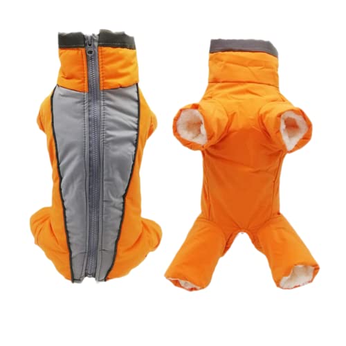 girl orange