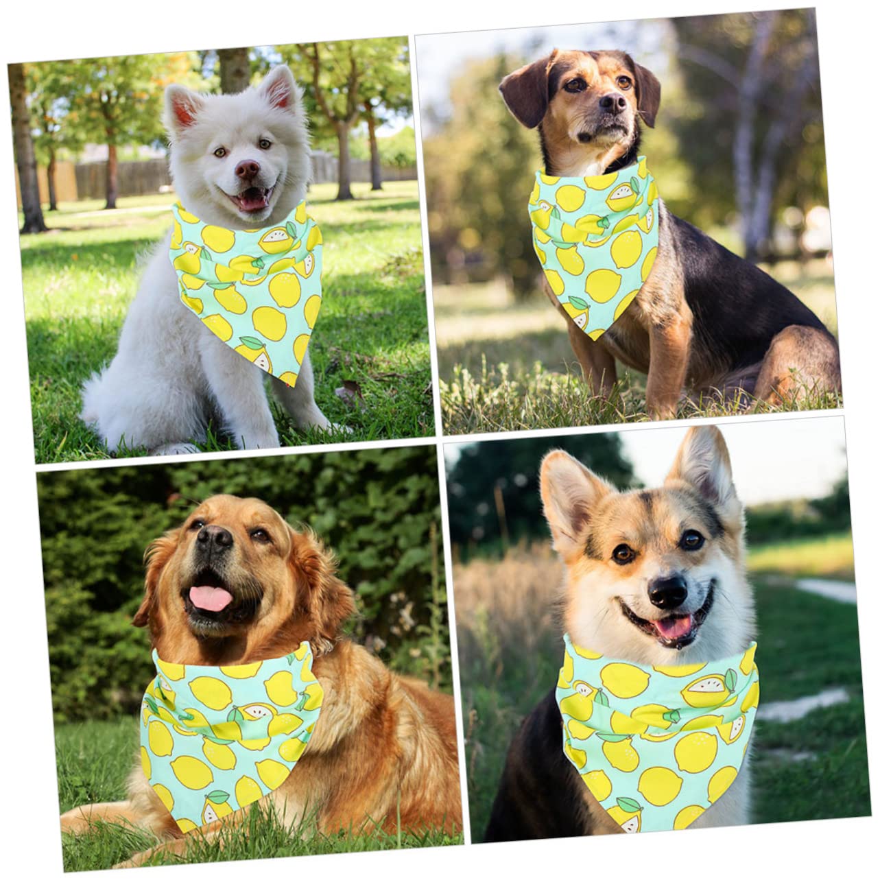 SUPVOX Dog Birthday Party Supplies - Triangle Bandana with Fruit Design for Pets - Perfect for Birthday Celebrations, Pet Parties & Fun Photo Shoots