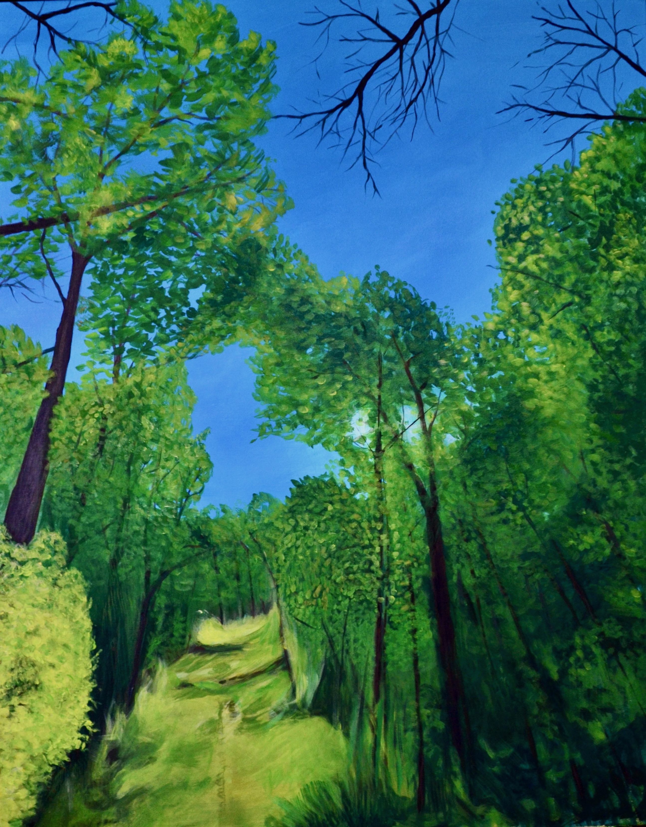 Mary Powers Holt: September Woods Canopy - Premium Art Print for Home & Office Decor | Nature-Inspired Wall Art for Living Room, Bedroom & Office Spaces