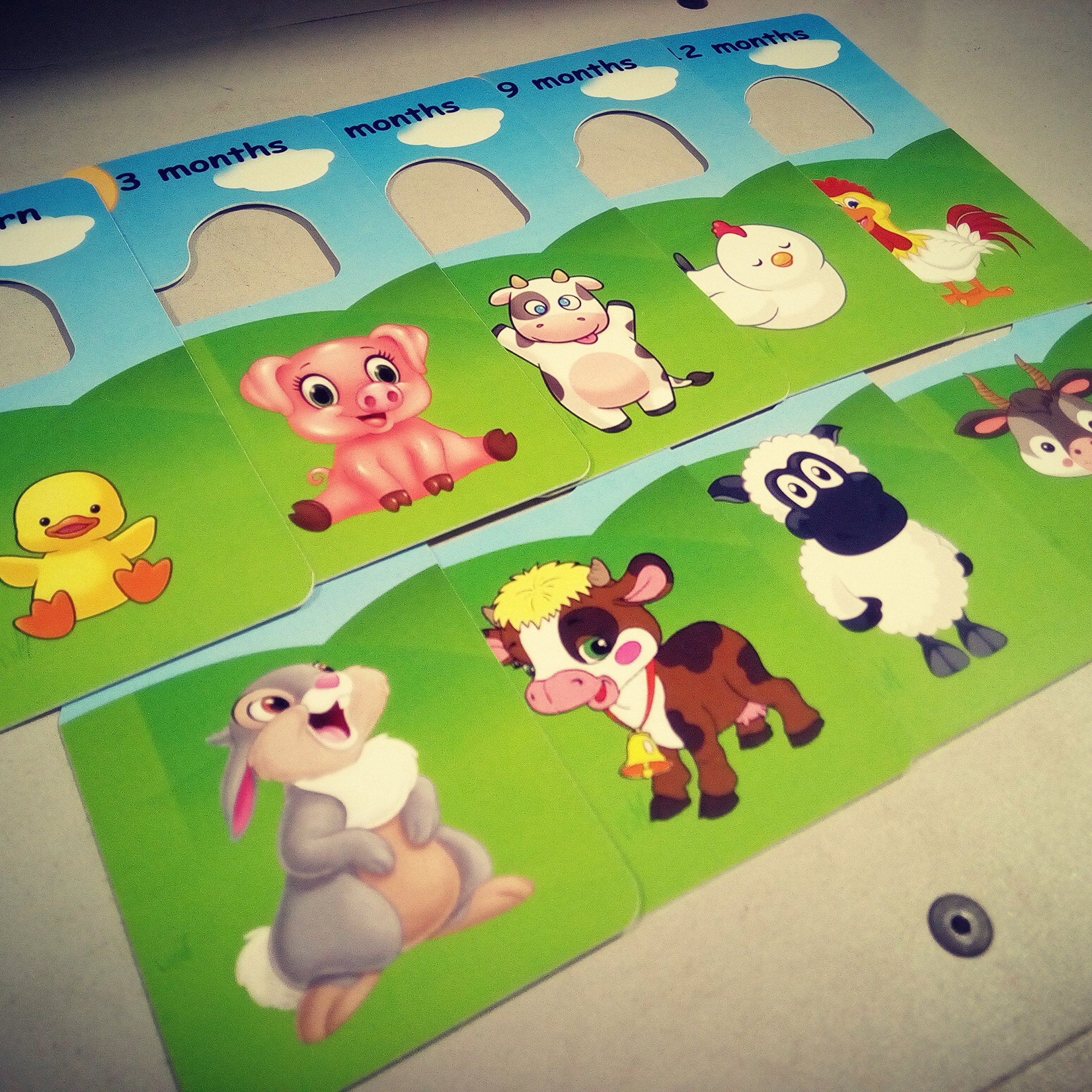 Farm Animal Baby Closet Dividers Stickers - Organize Newborn to 4T Clothes (CHD000007) - Perfect for Nursery Organization & Toddler Clothing Storage