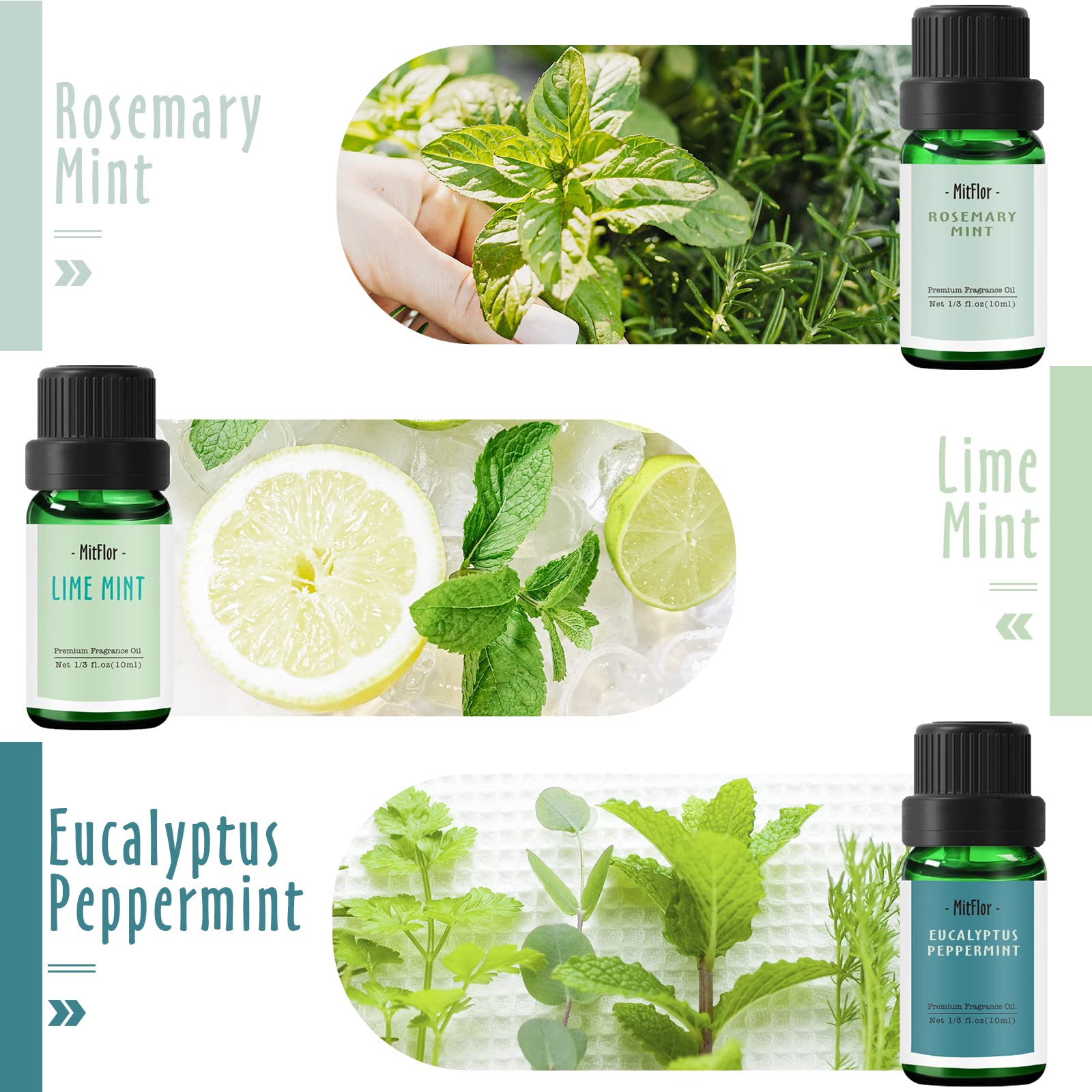 Premium Mint Fragrance Oils Set - 6x10ml Essential Oils for Diffusers, Soap & Candle Making (Cedarwood Mint, Coconut Mint) - Refreshing Home Scent & Aromatherapy Gift Set - Perfect for Spa, Yoga & Relaxation Spaces