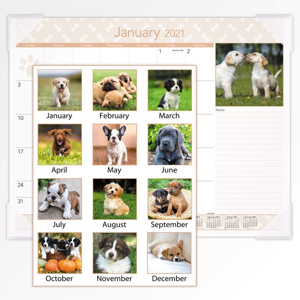 AT-A-GLANCE 2021 Monthly Desk Calendar - 21.75