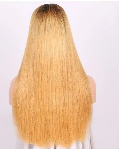 Everly Human Hair Lace Front Wig - 100% Brazilian Virgin Hair, Glueless HD Lace Wig for Women, Natural Black Straight Hair with Baby Hair, Perfect for Daily Wear, Cosplay & Special Occasions