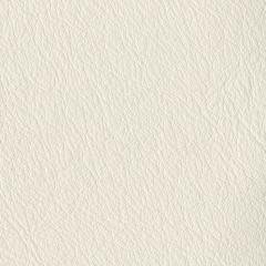 White Leather