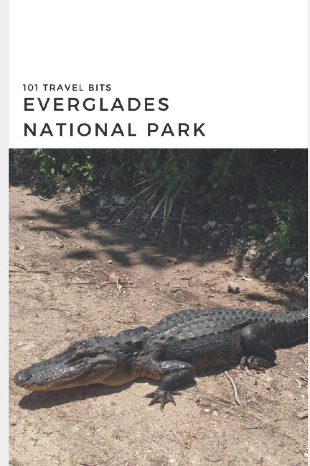 101 Travel Bits: Everglades National Park Guide - Explore Wildlife, Trails & Boat Tours in Florida's Wetland Paradise | Perfect for Nature Lovers & Adventure Seekers