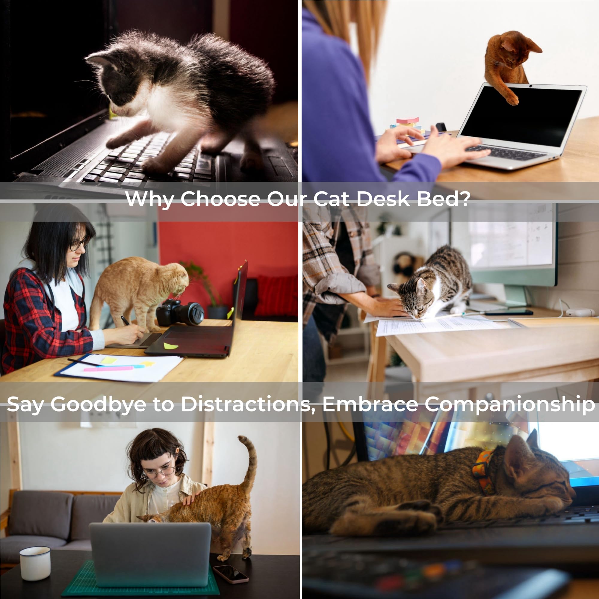 360° Rotating Adjustable Cat Desk Bed with Sturdy Steel Frame - Round Cat Nest for Office & Gaming Desks - Supports Up to 50 lbs - Modern Indoor Cat Furniture for Comfortable Napping & Workspace Companionship