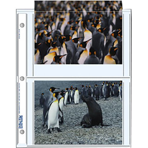 Print File 57 4P Archival Storage Pages for 4 Prints (5x7 inches) - 25 Pack | Photo Album Protector for 5x7 Photos | Perfect for Family Albums, Wedding Pictures & Artwork Preservation