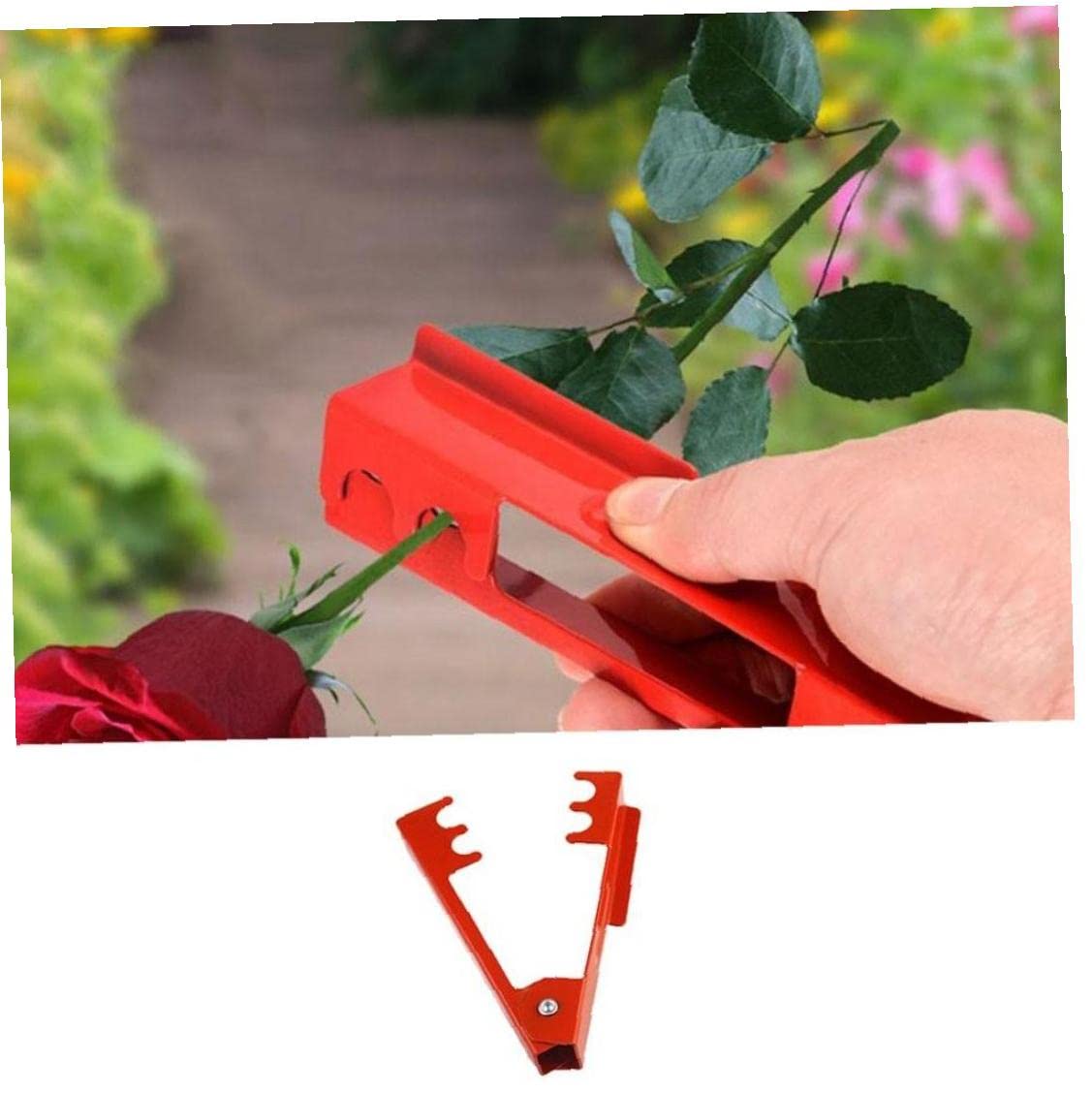 Rose Pliers - Professional Burr Remover & Flower Stem Stripper for Pruning Rose Thorns, Leaves & Branches - Ideal for Gardening, Floral Arrangements & DIY Bouquets