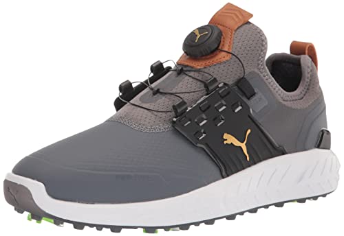 Quiet Shade/Puma Team Gold/Puma Black