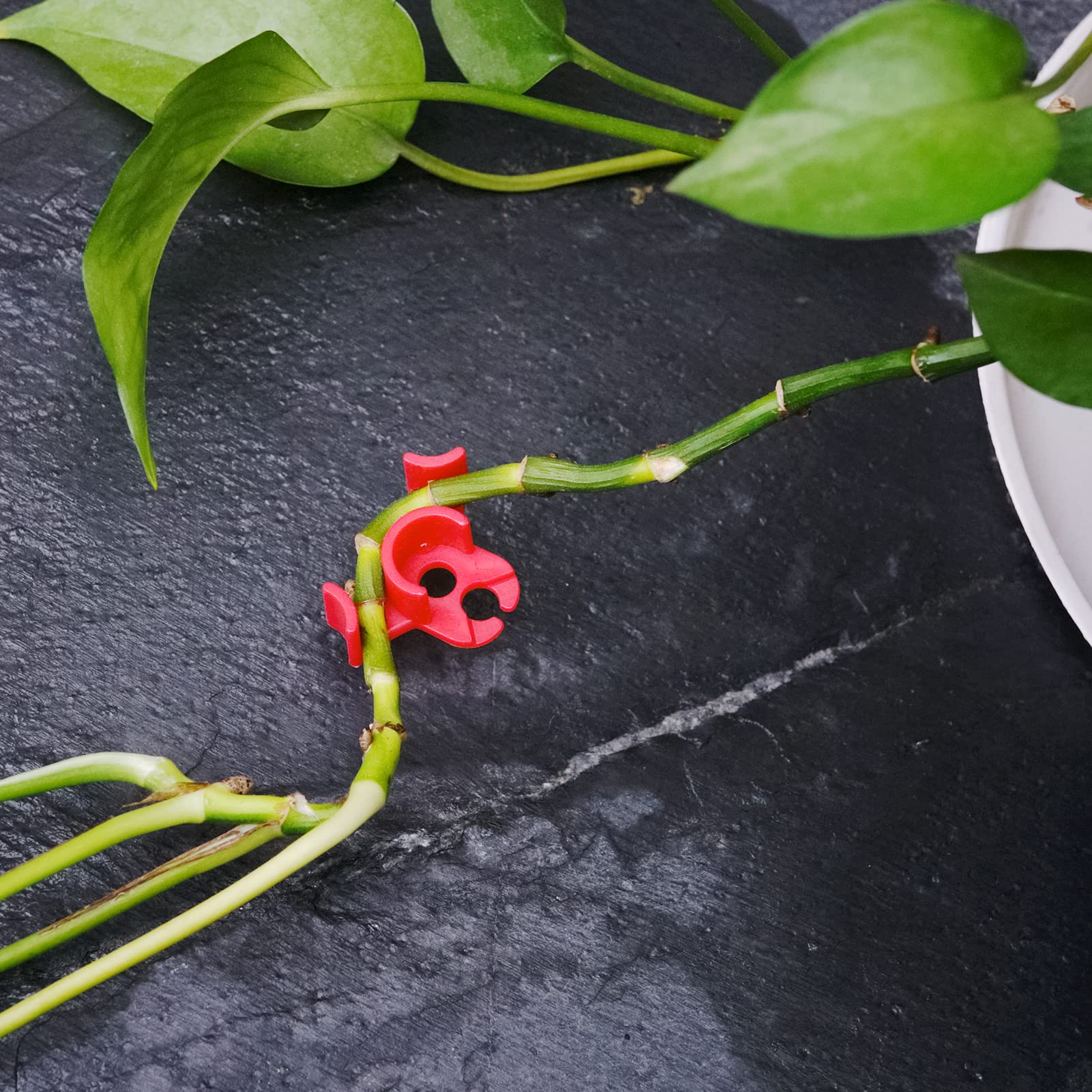 90 Degree Plant Training Clips - 30 Pcs Low Stress Bending Clips for Indoor & Outdoor Gardening - Perfect for Tomatoes, Cannabis, and Vine Plants