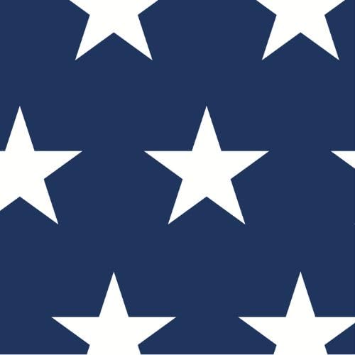 Fabric: Stars