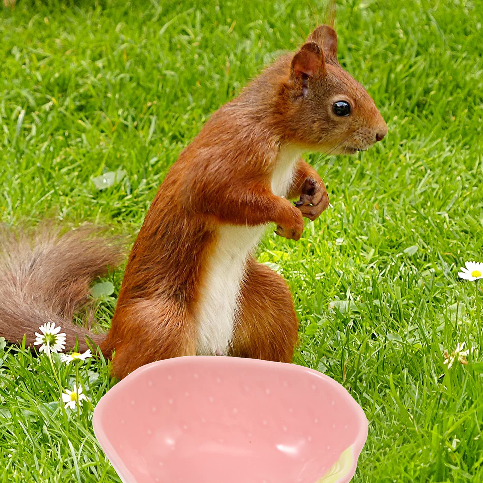 Ceramic Hamster Food Bowl - Cage Feeder & Water Dish for Small Pets - Perfect for Hamster Cages & Play Areas