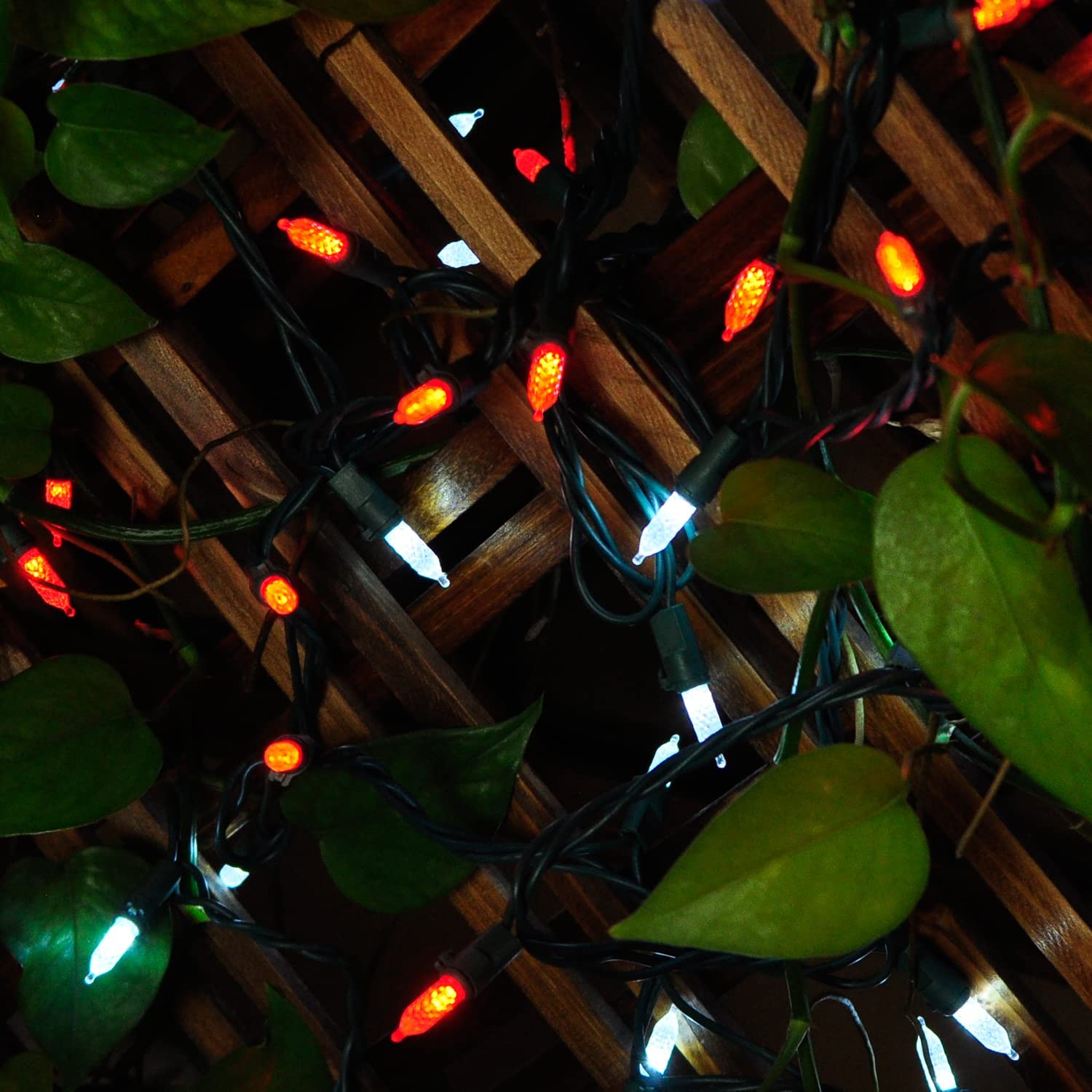 Joiedomi 70 LED Christmas Lights Outdoor - 23.6FT Christmas Tree Lights Indoor & 52.2FT Connectable Fairy Lights with Green Wire for Xmas Tree Decorations, Holiday Party, Garden, Patio (Red & White)
