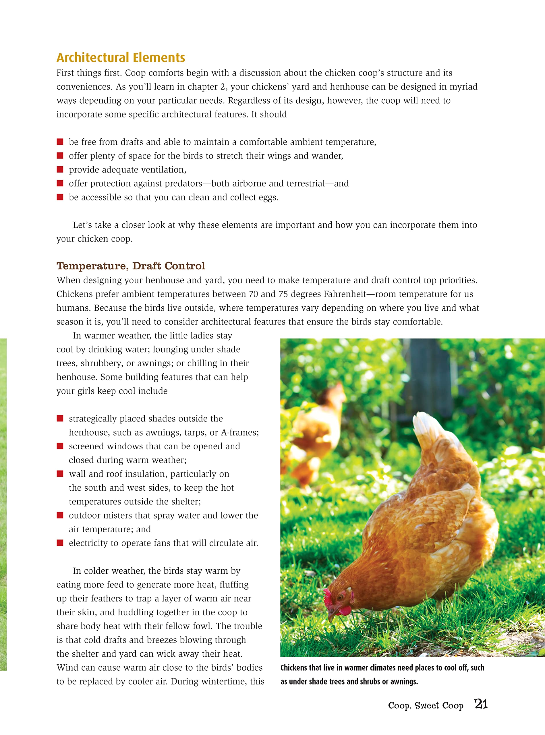 Starter Chicken Coops - Perfect First Home for Baby Chicks & Young Hens | Durable & Safe Poultry Housing | Ideal for Backyard Farms & Urban Homesteading
