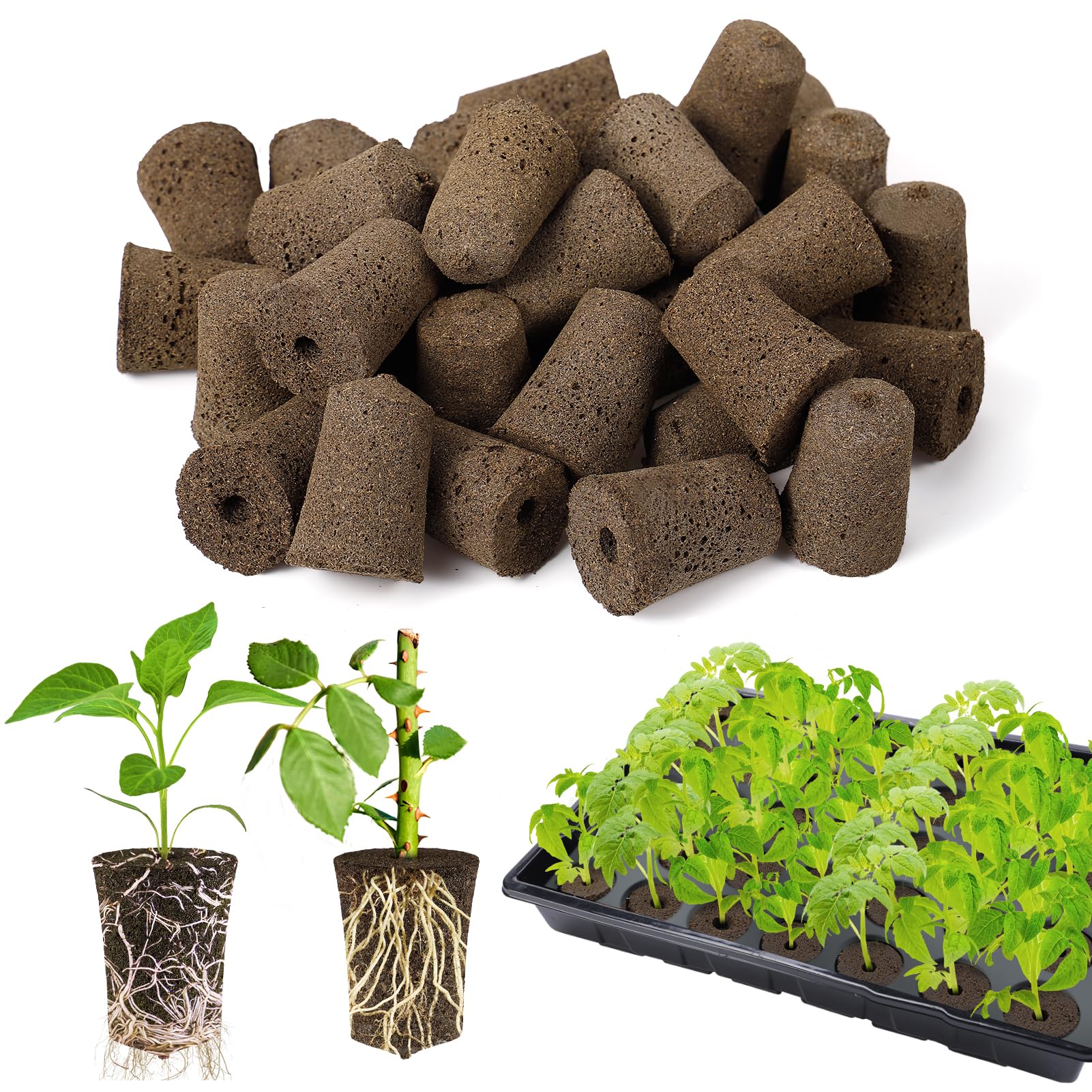 50 Pcs Rooting Sponges for Plants - Seed Starter Plugs for Seedlings & Cuttings, Rapid Rooting in Soil/Tray/Pods, Promotes Herb Vegetable Flower Growth - Ideal for Hydroponics, Indoor Gardening & Greenhouse Planting