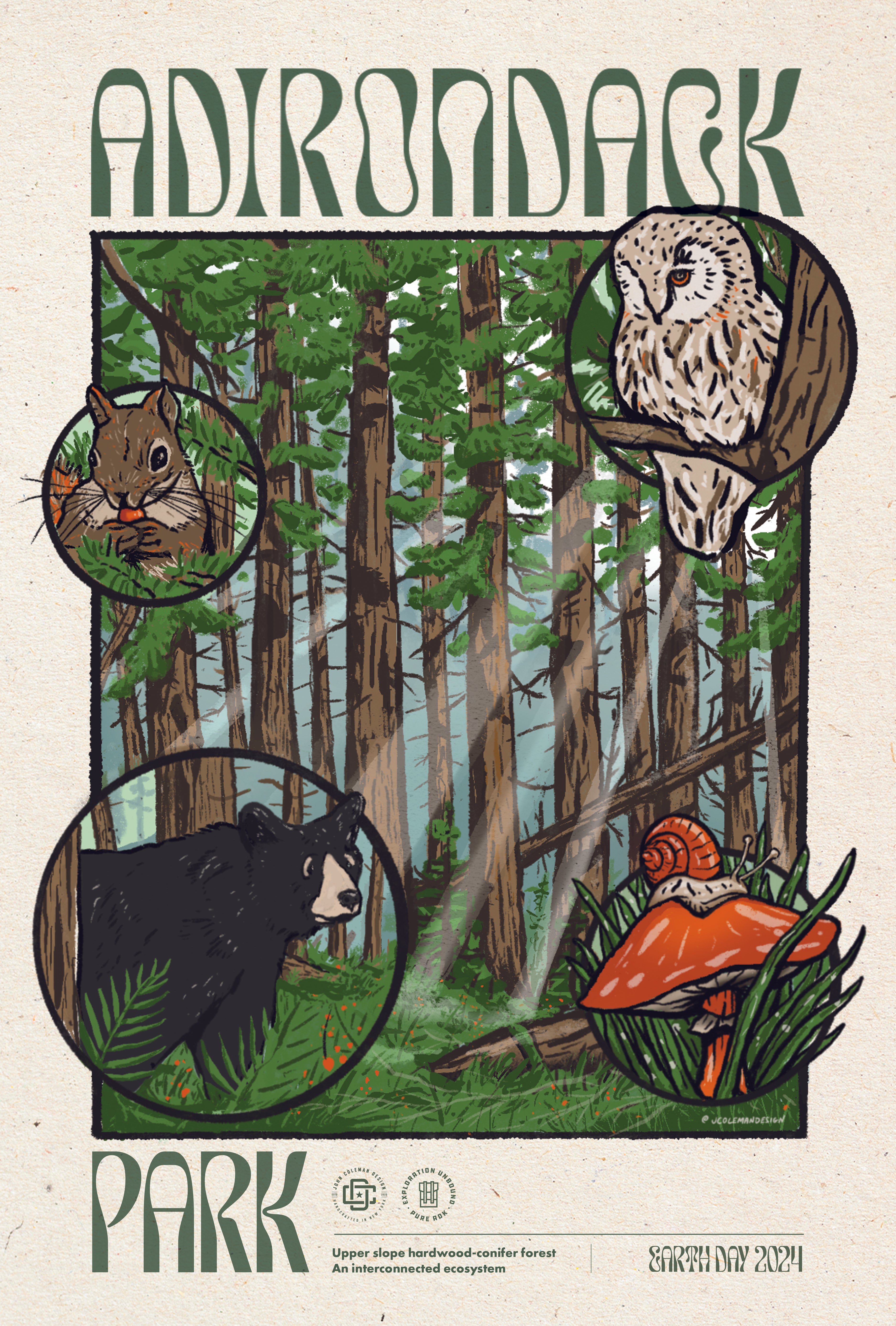 Adirondack Ecosystem Poster - 1st Edition | High-Quality Wall Art for Home, Office & Classroom Decor