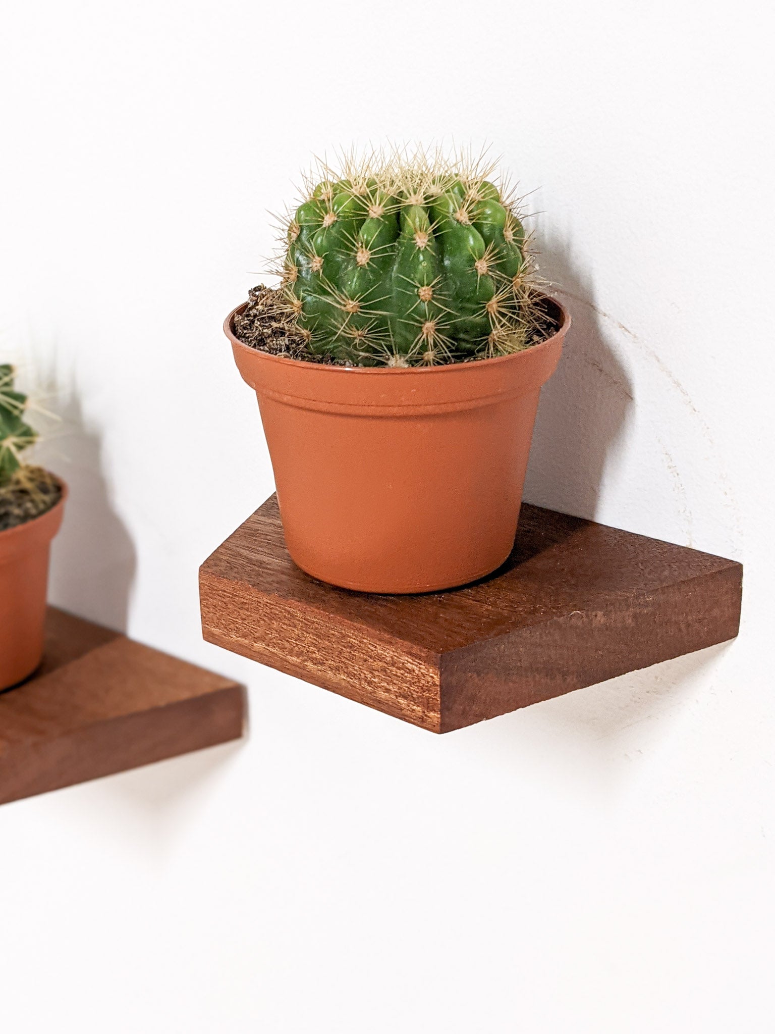 Stylish Mahogany Small Trapezoid Display Shelf - Perfect for Home Decor, Retail Stores & Office Organization