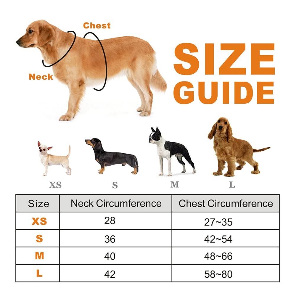 Adjustable Soft Mesh Dog Harness for Small Puppies - Waterproof, Breathable & Comfortable - with Lead Leash Clip (Size S, Blue) - Perfect for Walking, Training & Outdoor Adventures