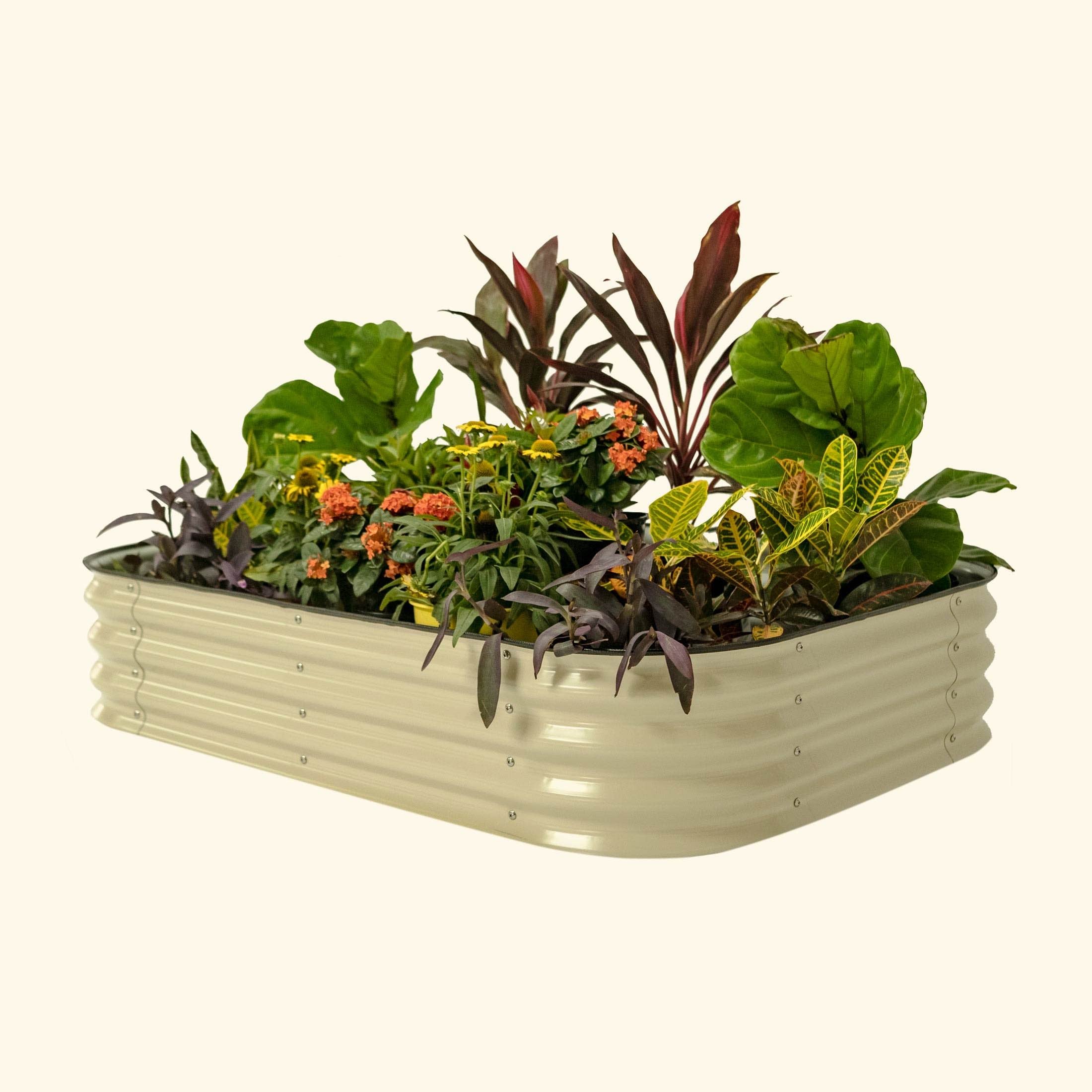6-in-1 Modular Metal Raised Garden Bed Kit - 11 Inch Tall for Vegetables, Herbs & Flowers | Outdoor Gardening, Backyard Planting & Urban Farming Solution