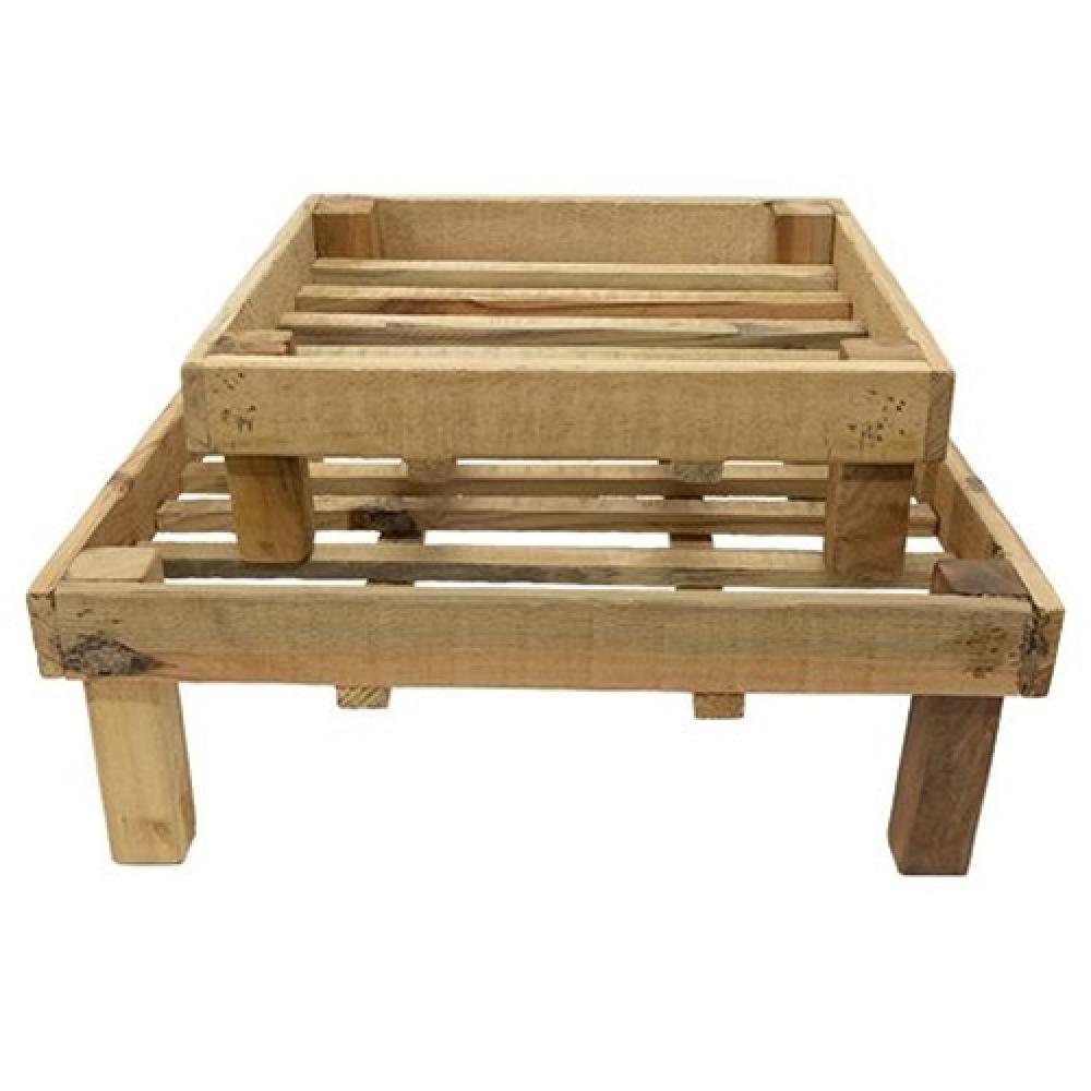 2-Pack Vintage Seed Starter Trays - Biodegradable Nursery Pots for Indoor/Outdoor Gardening, Planting Herbs, Flowers & Vegetables - Perfect for Home Gardeners & Greenhouses