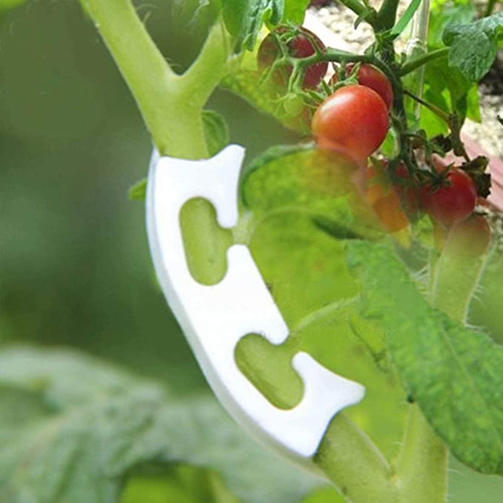 100 Pcs Plant Training Clips - Low Stress Training Bender for Branches & Twigs, Growth Control Clamps for Indoor/Outdoor Gardening - Perfect for Hydroponics, Bonsai, and Cannabis Plants