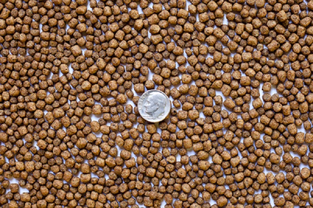 Premium Koi Fish Food Pellets - High Protein 36% Diet for Medium to Large Koi & Freshwater Fish - 40 lb Bulk Bag - Ideal for Outdoor Ponds, Water Gardens & Healthy Fish Growth
