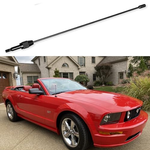 Ford Mustang (1979-2009)