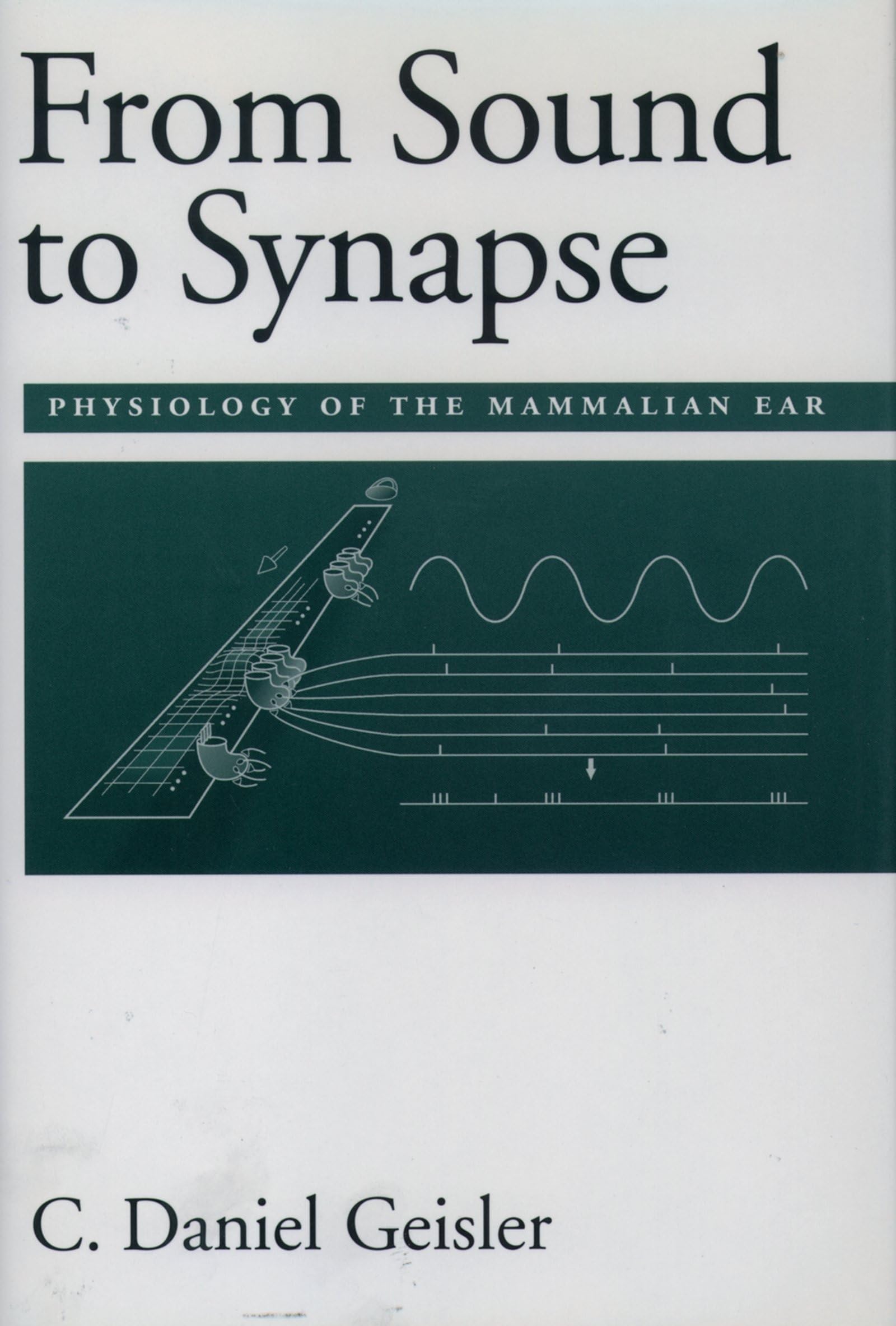 Physiology of the Mammalian Ear: How Sound Travels from Ear to Brain - Perfect for Medical Students, Audiologists & Neuroscience Researchers
