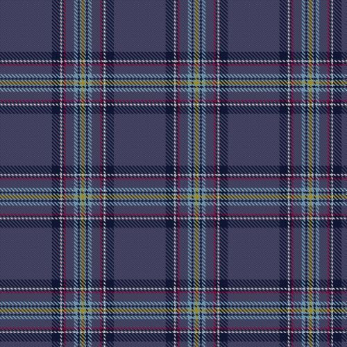 Blue Toon Tartan Plaid Scarf - Soft & Warm Winter Accessory for Men and Women - Perfect for Outdoor Activities, Travel, and Casual Wear