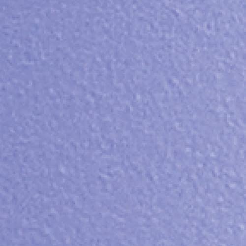 Lupine Purple