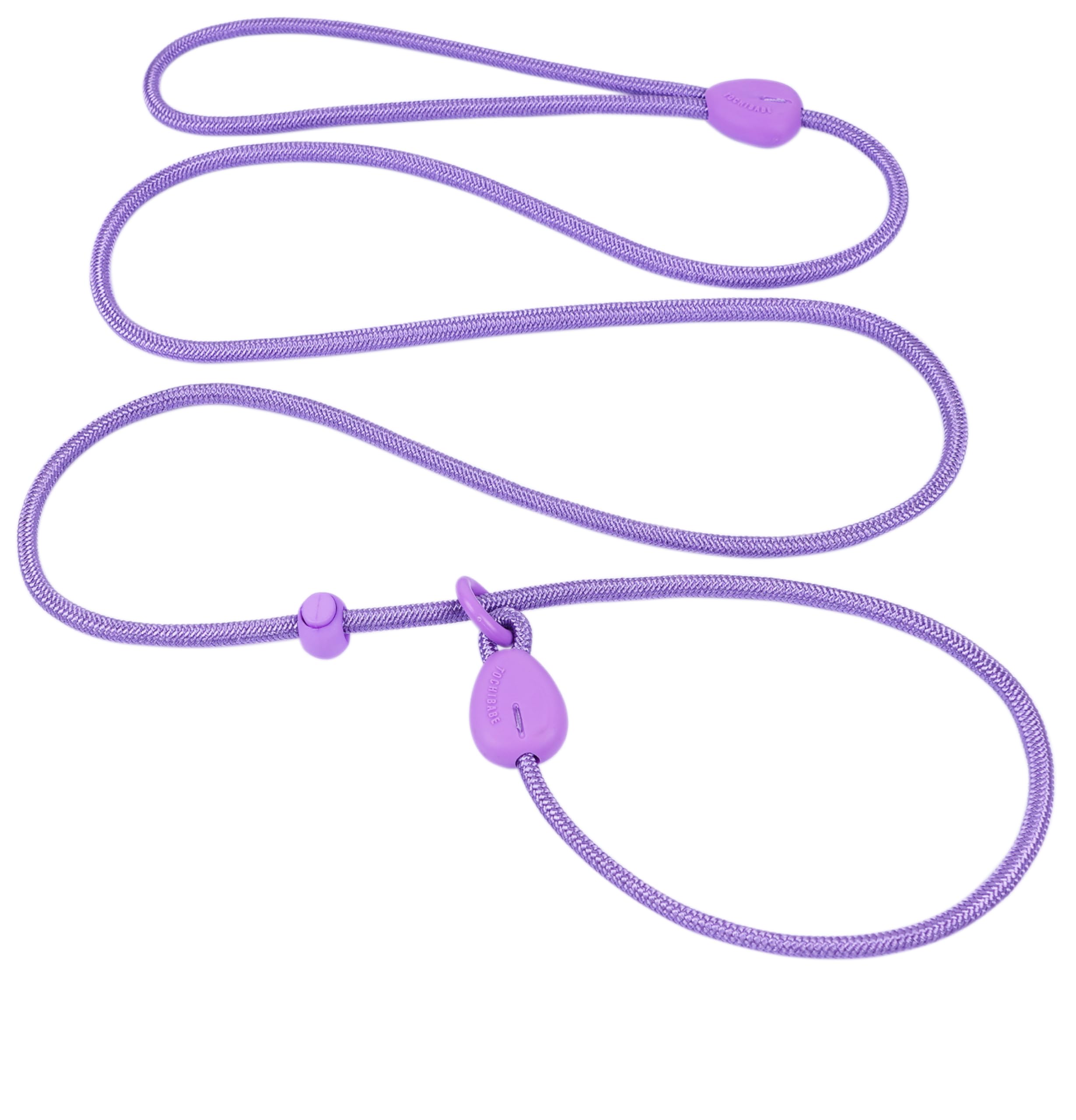 6FT No Pull Slip Lead Dog Leash - Lightweight Training Leash for Small & Medium Dogs | Adjustable Slip Collar for Walking, Training & Outdoor Activities (Purple)
