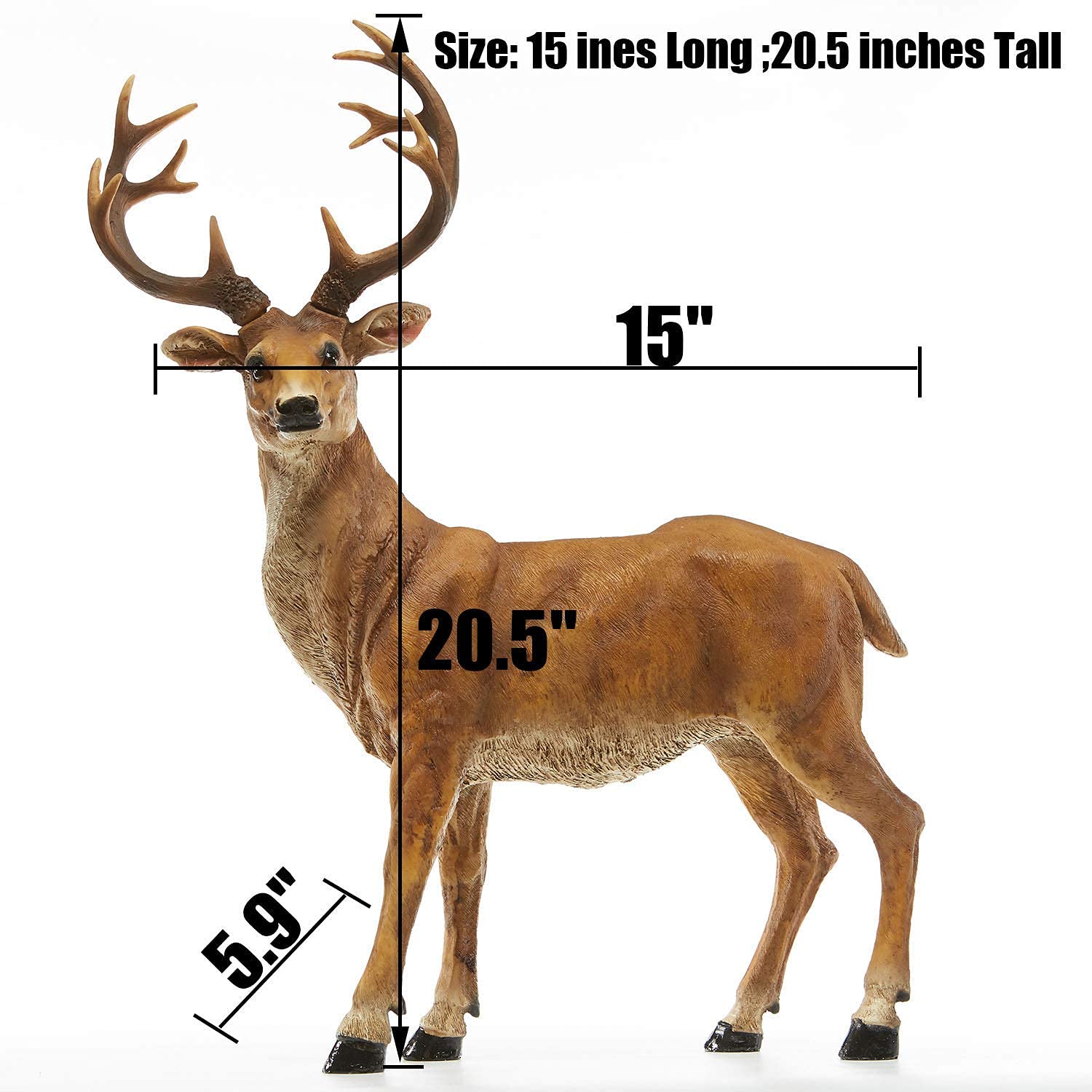 20.5