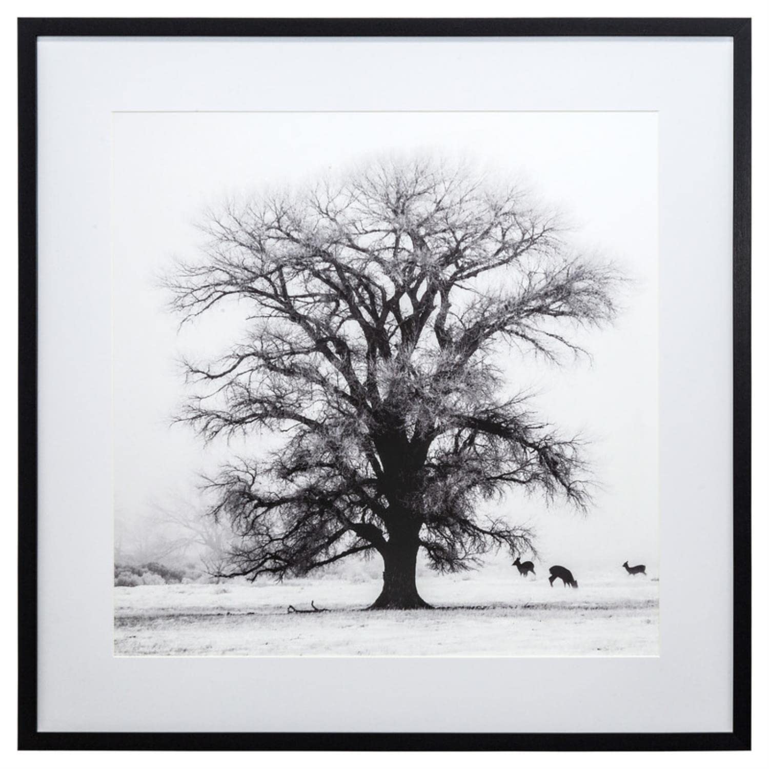 Yosemite Home Decor Winter Morning Fog IV - Stunning Landscape Wall Art for Living Room, Bedroom & Office Decor