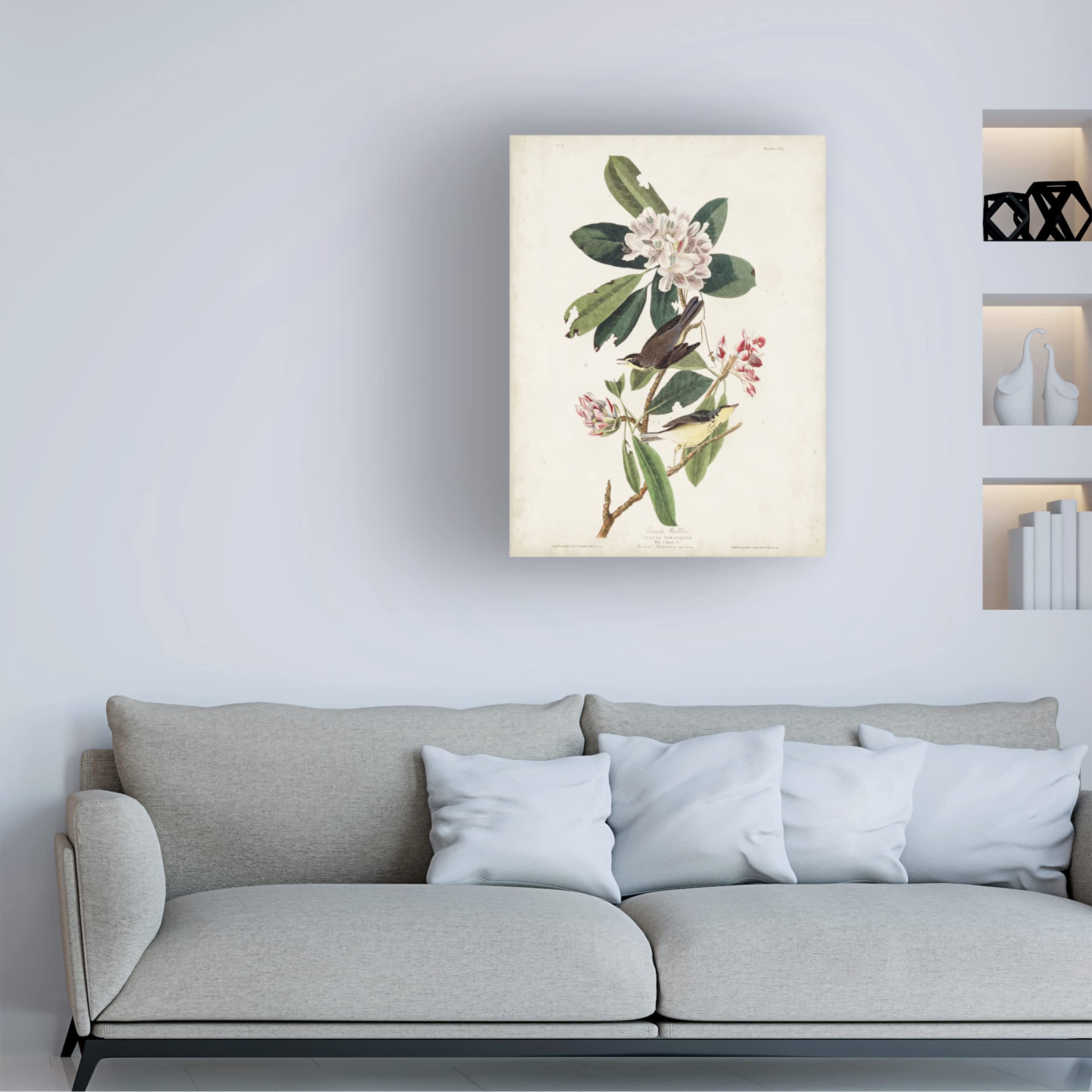 Trademark Fine Art 'Canada Warbler' Canvas Art by John James Audubon - 35x47 Inches - Handmade Bird Painting for Home & Office Decor - Perfect for Living Room, Bedroom or Office Wall Art