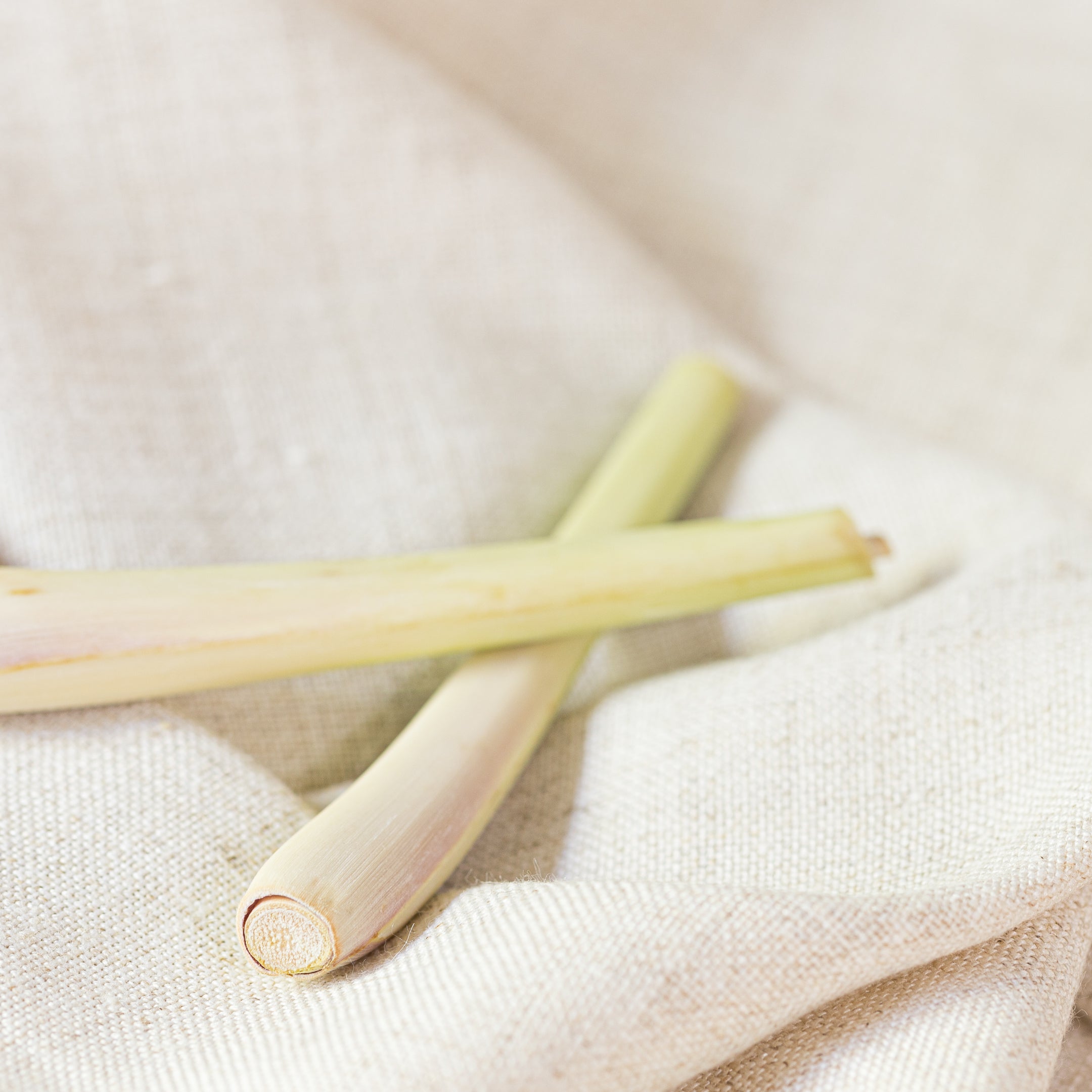 Organic Lemongrass Essential Oil - 100% Pure Natural Aromatherapy Oil for Diffuser, Massage & Skin Care - Relaxing & Uplifting Scent for Stress Relief & Home Fragrance