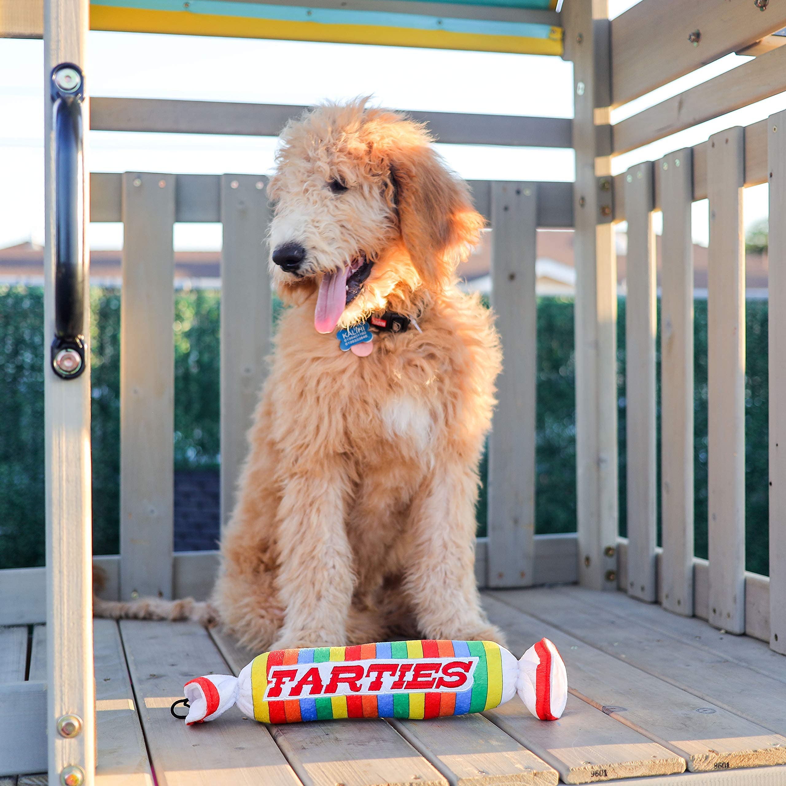Huxley & Kent Squeaky Plush Dog Toy for Large Dogs - Funny & Cute Power Plush Chew Toy with Squeaker | Perfect for Playtime, Training & Gifting | Durable Interactive Pet Toy for Aggressive Chewers