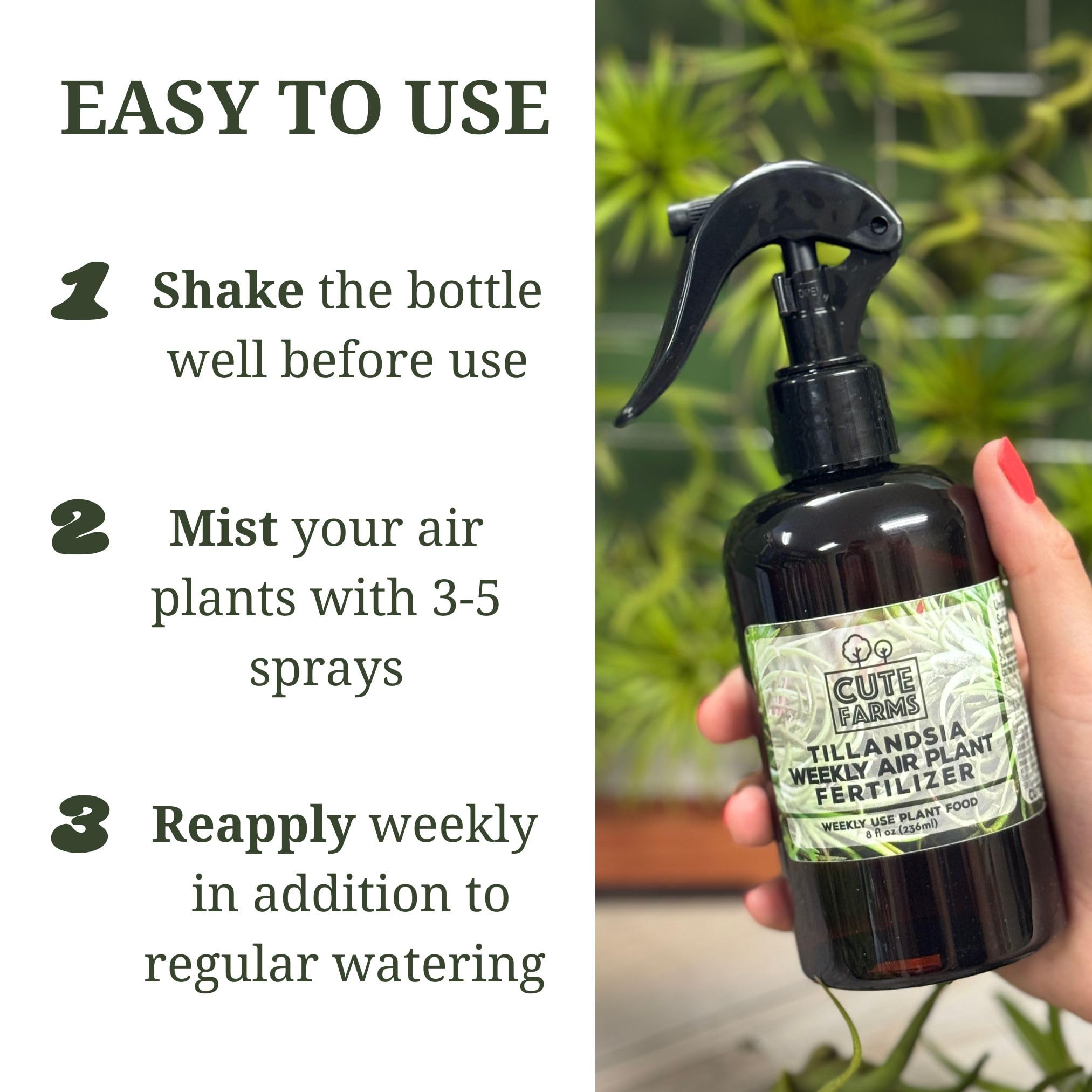 Cute Farms Tillandsia Air Plant Fertilizer - Gentle Weekly Use Plant Food with Care Guide | 8 oz. Spray Bottle for Healthy Growth | Perfect for Home, Office & Terrarium Decor