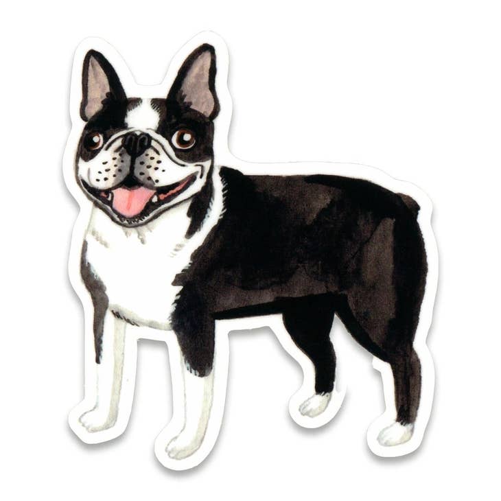 Boston Terrier Sticker - Cute Dog Decal for Laptops, Water Bottles & DIY Crafts - Perfect for Pet Lovers & Boston Terrier Fans
