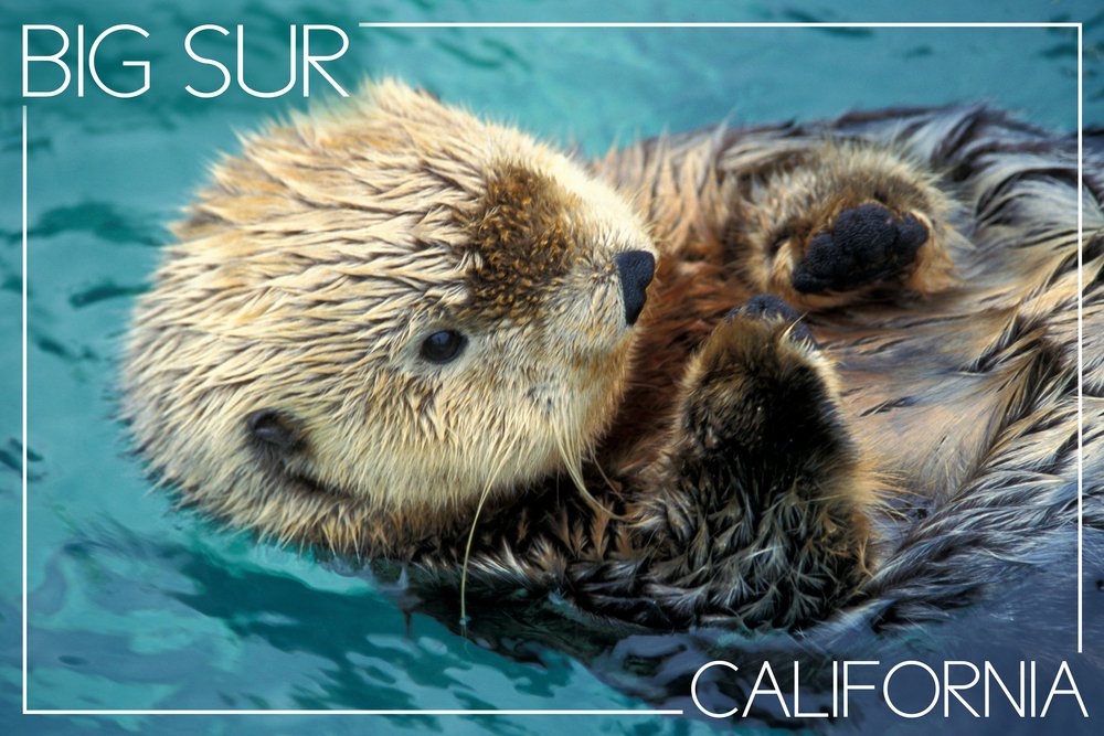 Signed Big Sur California Sea Otter Photograph Art Print (24x36) - Coastal Wall Decor, Ocean Theme Bedroom Poster, Wildlife Photography Gift