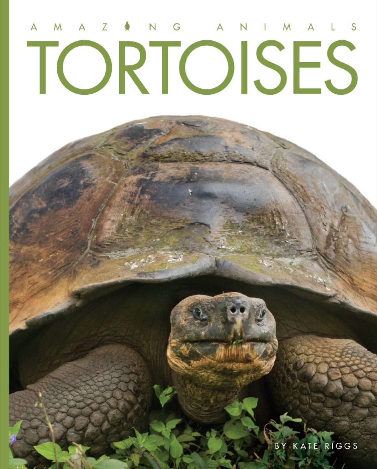 Amazing Animals (2014): Tortoises - Educational Wildlife Documentary for Kids & Nature Lovers | Perfect for Classroom Learning & Family Movie Nights