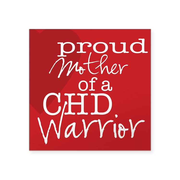 Square Car Decal Stickers - CafePress Bumper Stickers for Cars & Laptops